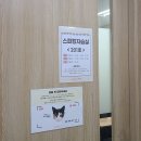 부산대학교 환경대학원 | 부산대 토익스피킹 IH, AL 연속 달성한 후기 with 줄리토스