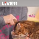 힐링책방 이미지