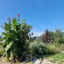 중천농장 이미지