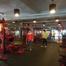 아이언렉스 이미지