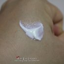 (주)에르쯔틴 이미지