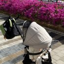 삼천리(아) | 어린이날 선물 추천! 내돈내산 삼천리 샘트라이크 콤팩트 후기_18개월