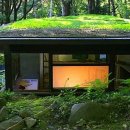 (주)엔투스튜디오 네이버블로그