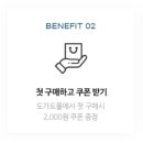 디자인쿡