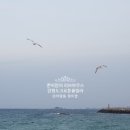 크로톤풀빌라 이미지