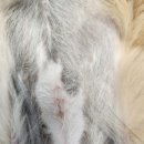 영천동물병원 이미지