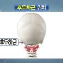 엠휘트니스 이미지