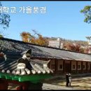 성균관대학교 - 7702 | 성균관대학교