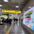 그린컴퓨터아카데미수원 이미지
