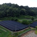 보은목장 이미지