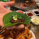 곰장어와아나고 이미지