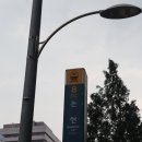 신반포로47길 9-21 | 신사역 돼지갈비 신사역 찐맛집 강소식당 신사본점