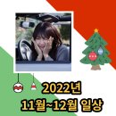 메드칼약국 | 2022년의 마지막 일상