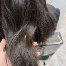 아르브헤어 arvv 이미지