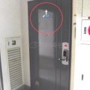 신일햇빛어린이집 이미지