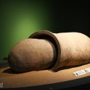 연꽃향기 이미지