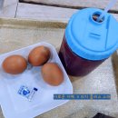 리치플러스 스파 이미지