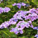 김윤아산부인과의원 이미지