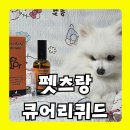 펫츠랑 | “미생물로 냄새 제거?” 뿌리는 강아지고양이 피부 면역 영양제, ‘펫츠랑 큐어리퀴드’ 생생후기