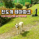 진도개테마파크 | 진도 가볼만한곳 진도개 테마파크 진도 볼거리 여행지 추천