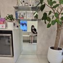 홀드의원 | 기미는 레이저가 답이다. (홀드의원)