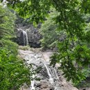 삼성누비 이미지