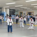 경희대한얼태권도 이미지