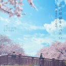 봄여름가을겨울(춘하추동) 이미지