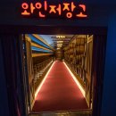 명화축산 | 영동와인축제 와인터널 9월 여행 가볼만한 곳