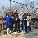 임주초등학교 이미지