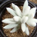 은월농장 이미지