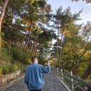 개인사유지 | 경남 밀양 가볼만한 곳이 된 개인사유지 금시당