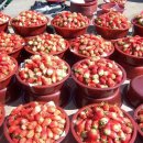 배골경로당 이미지