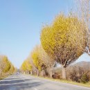 공주교육대학교 교육대학원 이미지