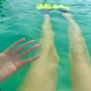 애월류가 이미지