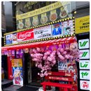 WOW 팡팡 이미지