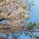 파크힐 여의도 이미지