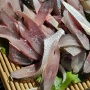 다미포차 이미지