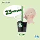 강정카센타 | 임신일기 16. 25주차 임당검사, 5D 입체초음파로 둥이들 얼굴 확인 ❤
