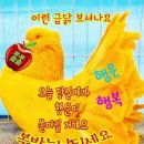 금닭 이미지