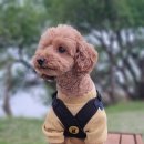 이뻐지는산책 이미지