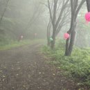 아라메길 (도비마루길) 이미지