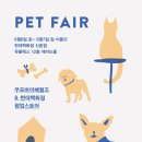 스테이스테이 이미지