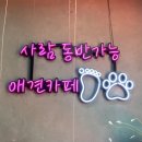 루프앤독 이미지