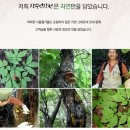 장수약초건강원