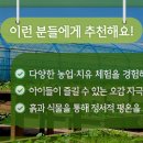 나누고힐링팜