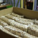 서곡초등학교 병설유치원 이미지