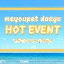 미유펫대구 강아지분양고양이분양(도그플러스동물병원) 이미지