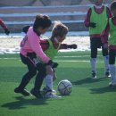 연동초등학교 이미지