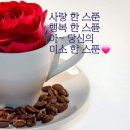 청정지대 이미지